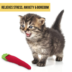 OurPets Cosmic Catnip Chili: aroma de catnip que anima las sesiones de juego