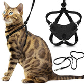 OutdoorBengal Houdini, arnés a prueba de escapadas para paseos seguros.