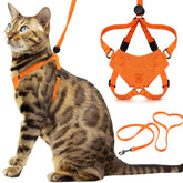 Arnés Houdini de OutdoorBengal para gato naranja, enfoque arnés, seguridad en paseos.