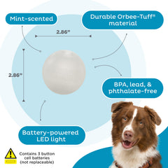 Outward Hound bola con aroma a menta para experiencia sensorial durante el juego.