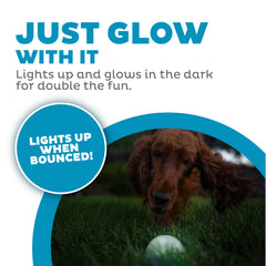 Outward Hound bola Orbee-Tuff resistente para juego en interior y exterior.