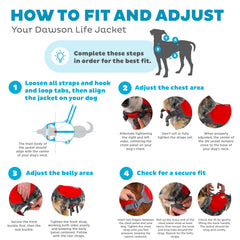 Outward Hound Dawson ajustes rápidos, hebillas, permiten un ajuste seguro y rápido para diferentes tallas.