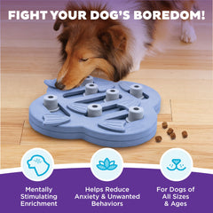 Outward Hound Dog Hide N' Slide: bloques deslizables para descubrir premios.