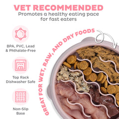 Outward Hound Fun Feeder Slo Tazon Laberinto: diseño de rompecabezas para mantener al perro concentrado.