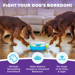 Outward Hound Paw N' Play manijas que permiten mover las patas y liberar premios.