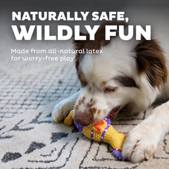 Outward Hound Squawkers Henrietta: perfecto para lanzamiento y juego activo en interiores o exteriores.