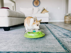 Outward Hound Wobble Bowl: tapa removible para rellenar y ajustar el reto.