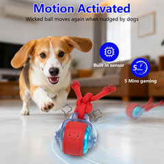 Bola con cuerda adjunta para agarre y juego interactivo.