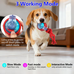 Modos Normal, Activo e Interactivo para diferentes experiencias.