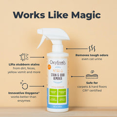 Oxyfresh spray limpiador para alfombras, uso diario y seguro.