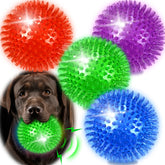 Bola Ousiya iluminada para perros, ideal para juegos nocturnos.
