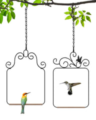 PACETAP columpios para colibríes, frente, ideal para realzar el jardín