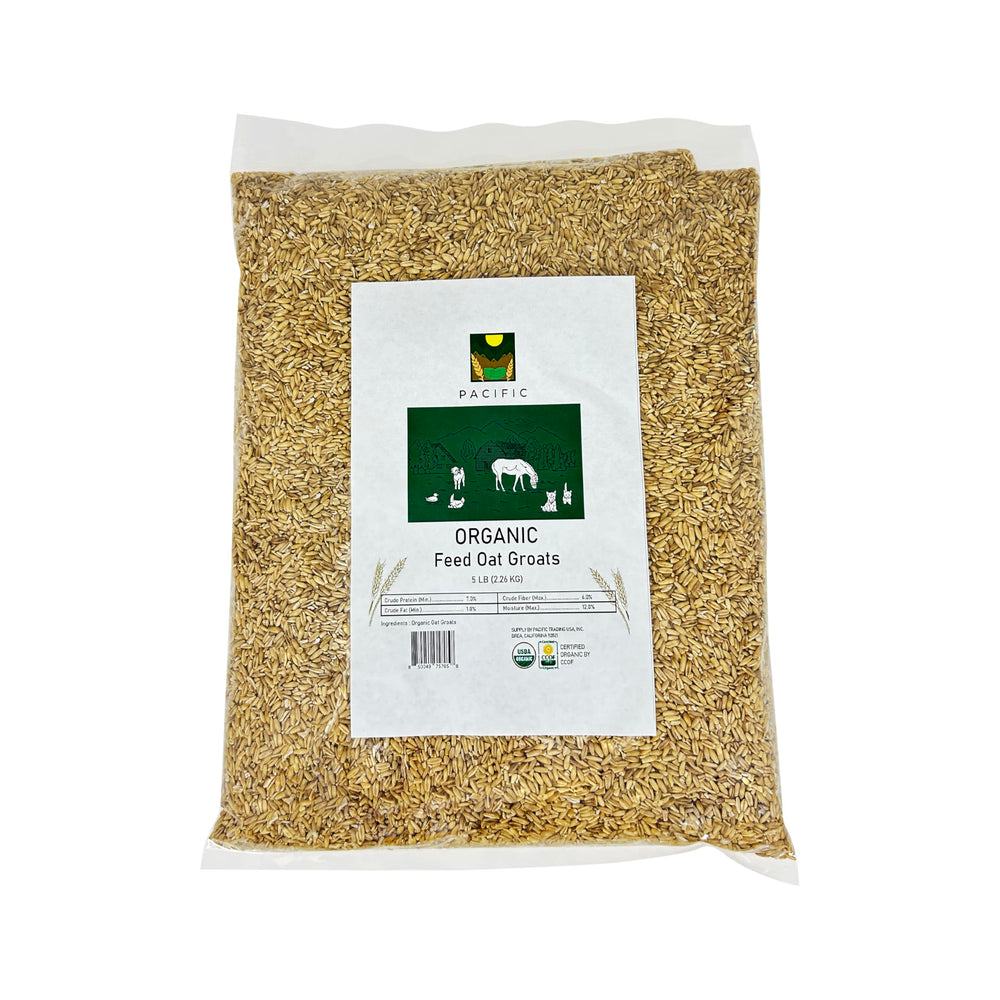 PACIFIC avena en grano orgánica para aves en tazón, fuente de fibra natural