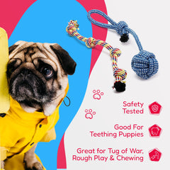 Pacific Pups Juguete de cuerda dental zanahoria, promueve la masticación y diversión