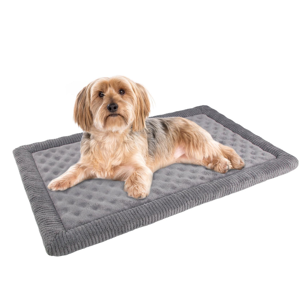 Pagged almohadilla para jaula de perro 24x17 gris, acolchada y antideslizante.