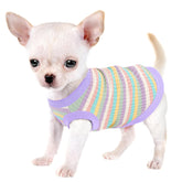 Camiseta Paiaite para perro pequeño con textura rib, comodidad diaria.