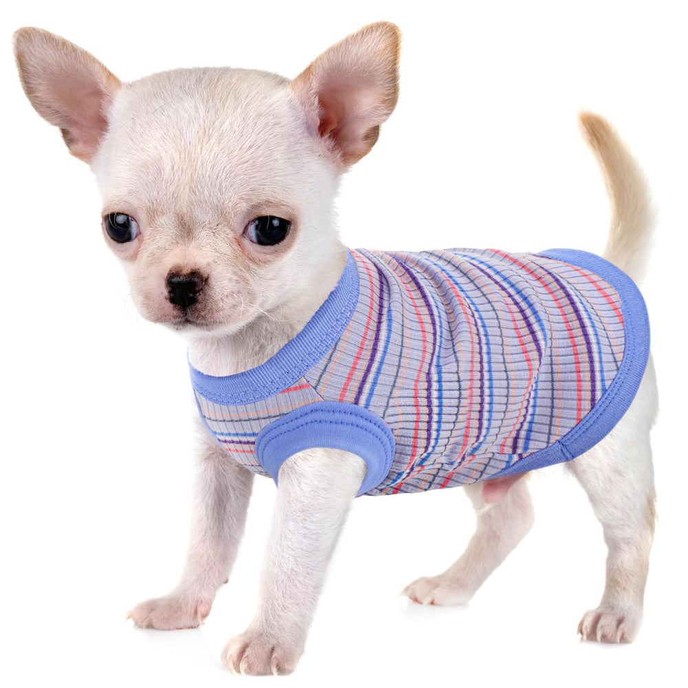 Paiaite camiseta para perro pequeño azul sin mangas, ideal para paseos cómodos.