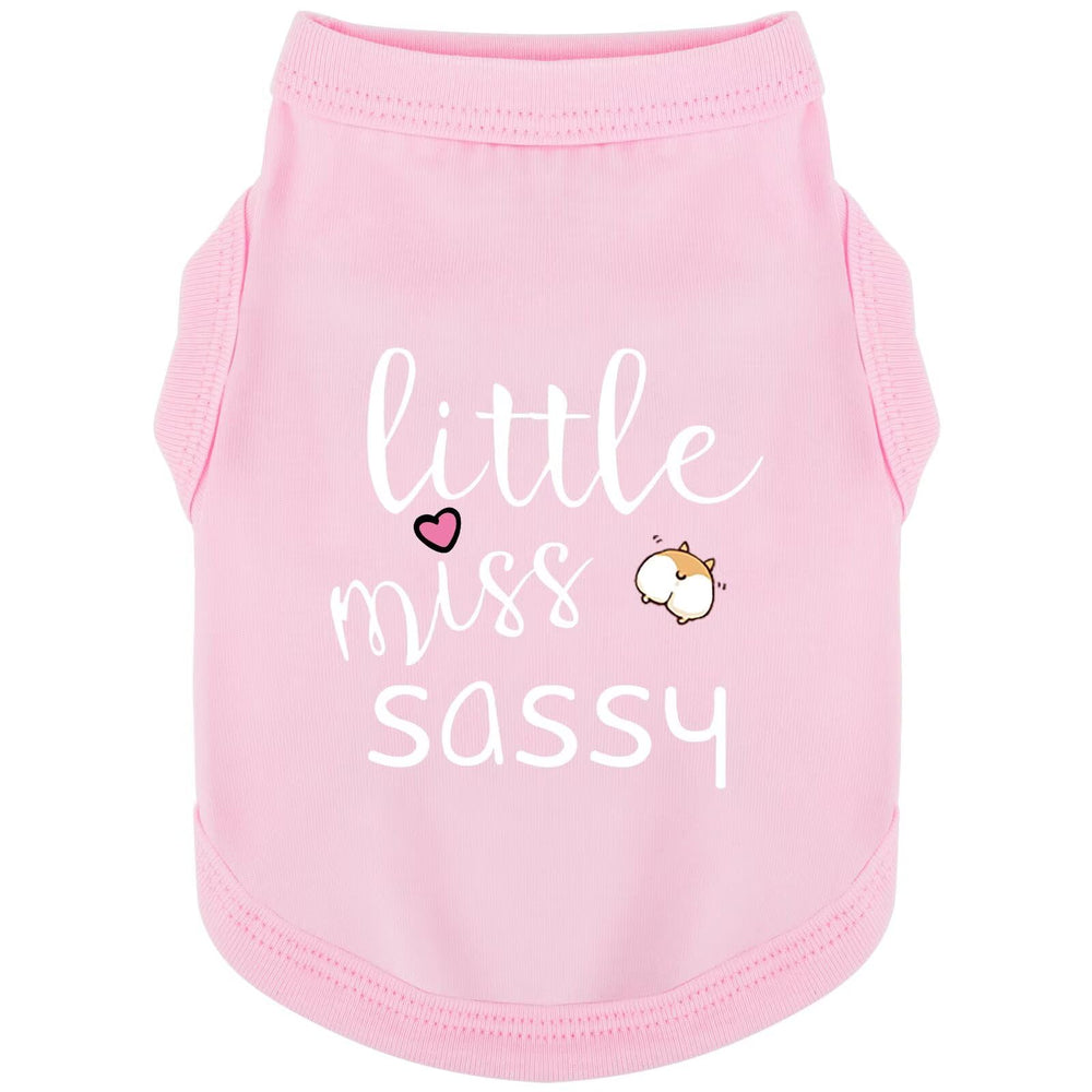 Paiaite chaleco para perro sin mangas con impresión pequeña-atrevida en rosa, ideal para paseos cómodos.