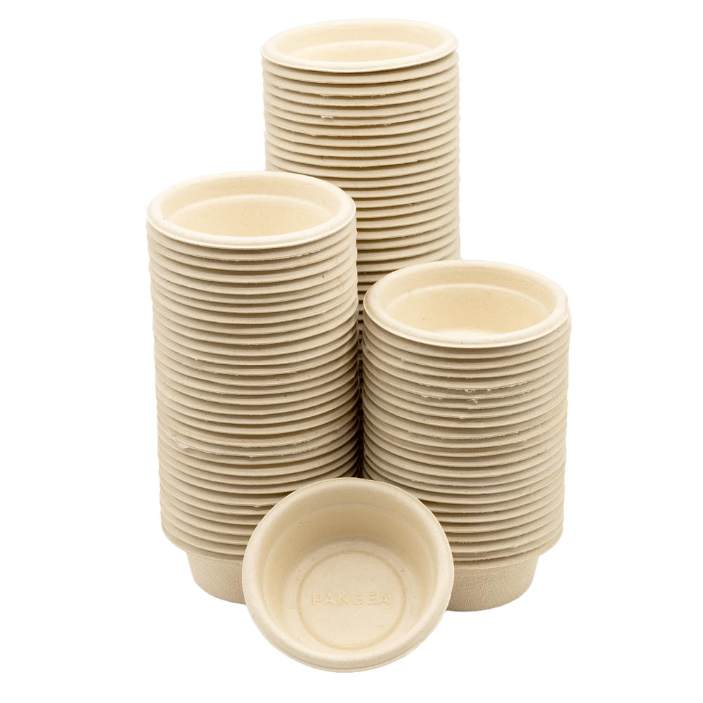 Taza de alimento Pangea 1.5oz para gecko crestado, manejo limpio en la alimentación diaria.