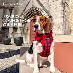 Arnés Parisian Pet duradero para uso diario, conserva forma y color.