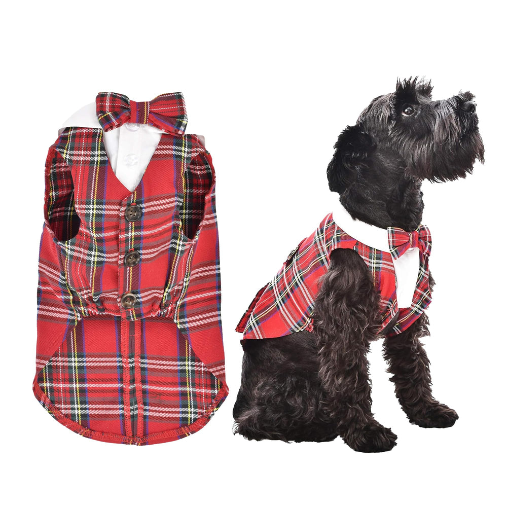 Parisian Pet tartán tuxedo para perro, ideal para fiestas y sesiones de fotos.