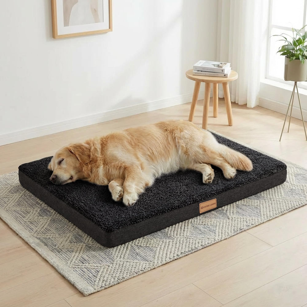 Cama ortopédica Patas Lague para perro XL 48x30 ofrece soporte estable