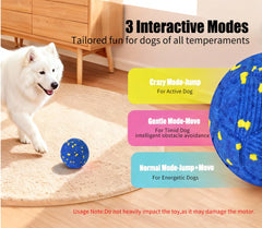 Patzoober bola interactiva para perros girando favorece ejercicio y diversión