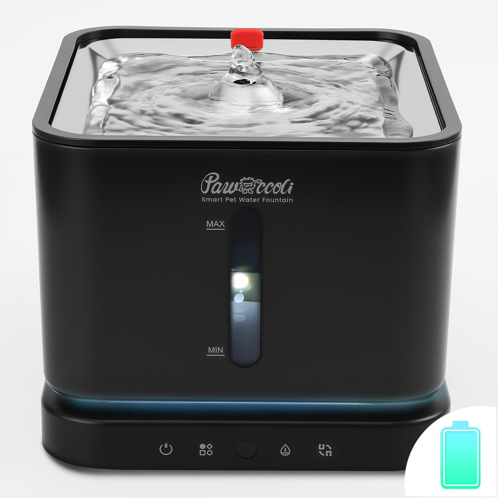 Pawccoli bebedero gato cordless, base de acero inoxidable, estable y seguro para consumo diario.