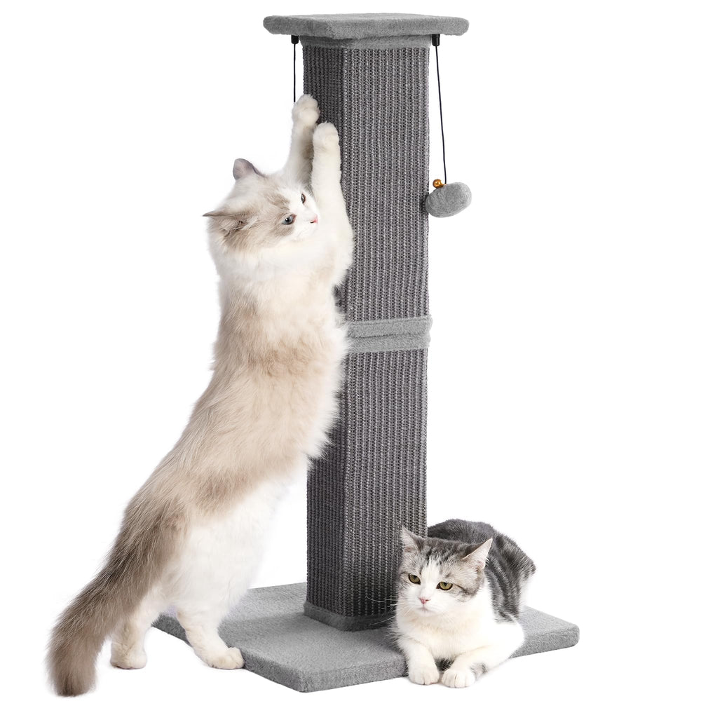 Pawfessor base gris estable para gatos grandes garantiza seguridad en casa.