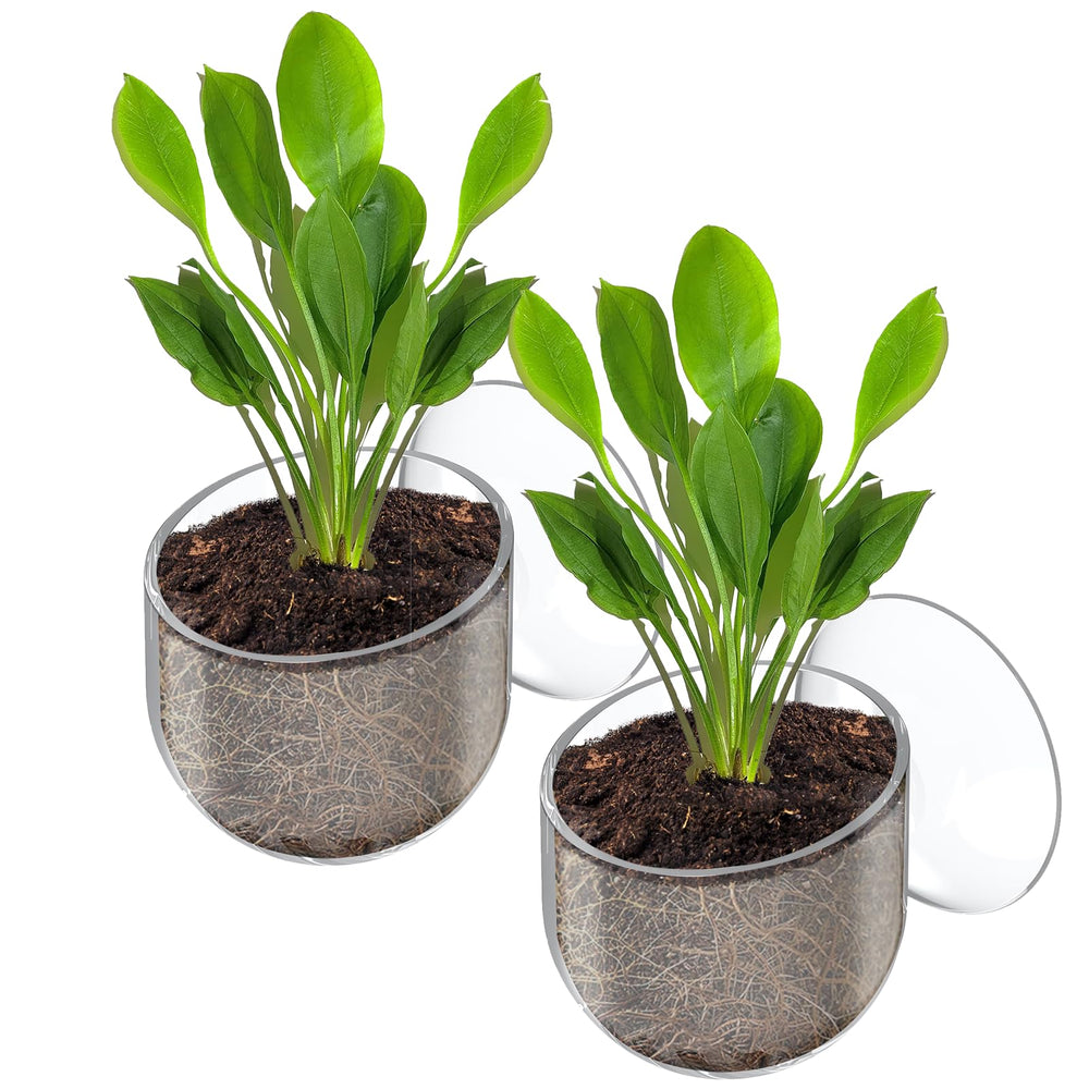 Pawfly, soporte para plantas de acuario, ideal para exhibir vegetación natural.
