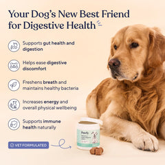 Pawfy probióticos para perros, piel saludable ante alérgenos
