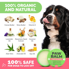 Aplicación suave de Paw Nectar para patas de perro tras paseo.