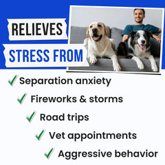 Pawsential primer plano de gomitas calmantes para perros, promoviendo la tranquilidad en casa