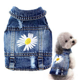 Chaqueta Pawstrip con bordado margarita para perro, estilo atractivo y cómodo.