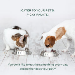 pawTree pawPairings Textura cremosa complemento mejora la experiencia de comer.