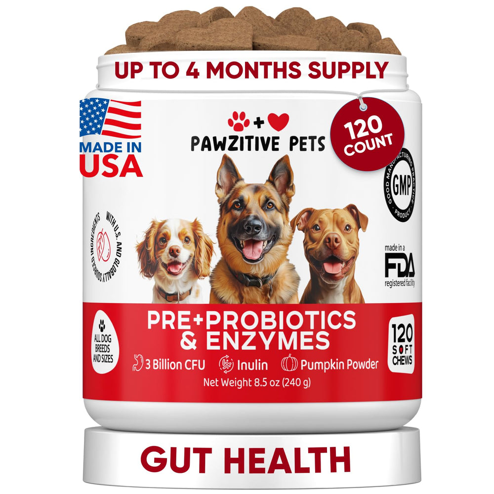 Pawzitive Pets probióticos para perros - botella para dosis diarias y salud digestiva