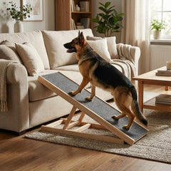 PeakPursuit rampa para cama alta, acceso seguro