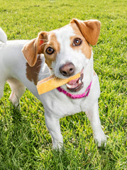 peaksnpaws queso yak del Himalaya, detalle de textura masticable para mordedores fuertes.