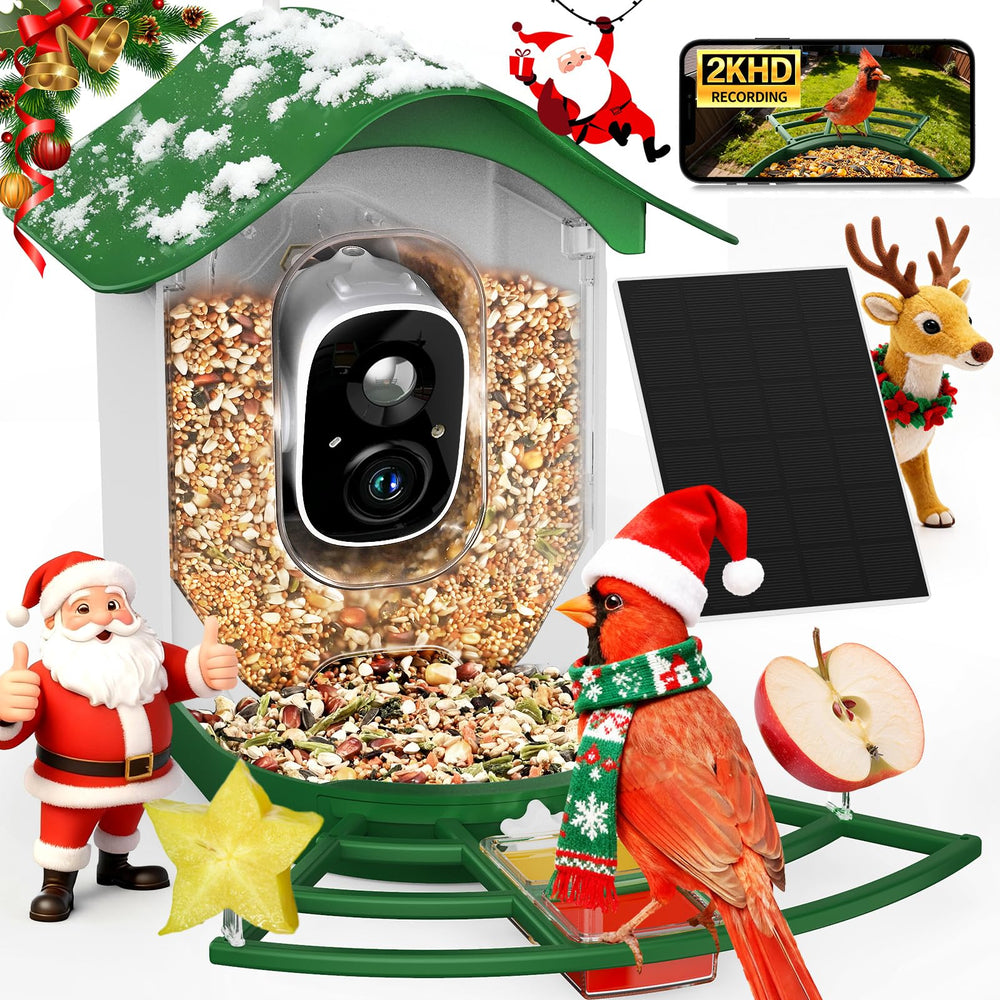 PeckCam alimentador de aves con cámara 2K para observar en vivo