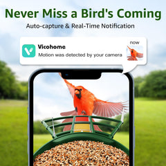 PeckCam panel solar para alimentación continua y observación sin interrupciones