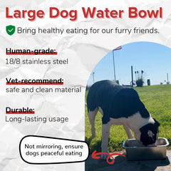 PEDAY gamelle d'eau chien ouverture large pour remplissage facile