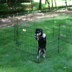 PEEKABOO corral perros estructura resistente de metal para uso diario.