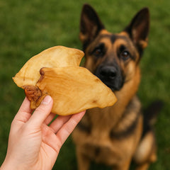 Orejas de búfalo de pasto de Pet Craft Supply, aptas para perros de todos los tamaños.