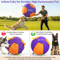 Pet Deluxe seis manijas de colores para agarre y lanzamiento