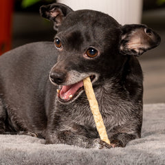 Rollos de beefhide de Pet Factory sabor natural para perros pequeños.