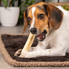 Pet Factory rollos chip de res natural en empaque, fácil de almacenar