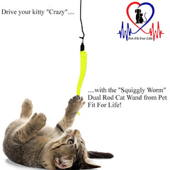 Pet Fit For Life gusano senuelo retratil impulsa juego interactivo y ejercicio