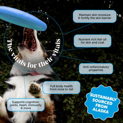Pet Honesty: aceite de salmón Alaska en vertido para mayor palatabilidad sin olor.