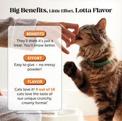 Ingredientes clave de Pet Honesty: glucosamina y condroitina para articulaciones.