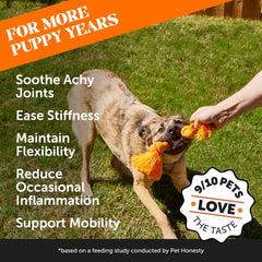 Pet Honesty Hemp Hip & Joint: masticables sabor pato, ideal para uso diario